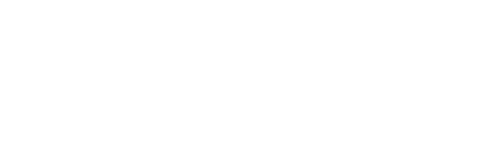 Blaashon - Soar Your Brand